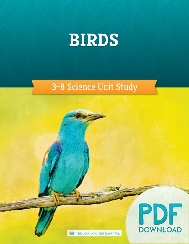 Homeschool Birds Science Unit for Grades 3 to 8 PDF Download