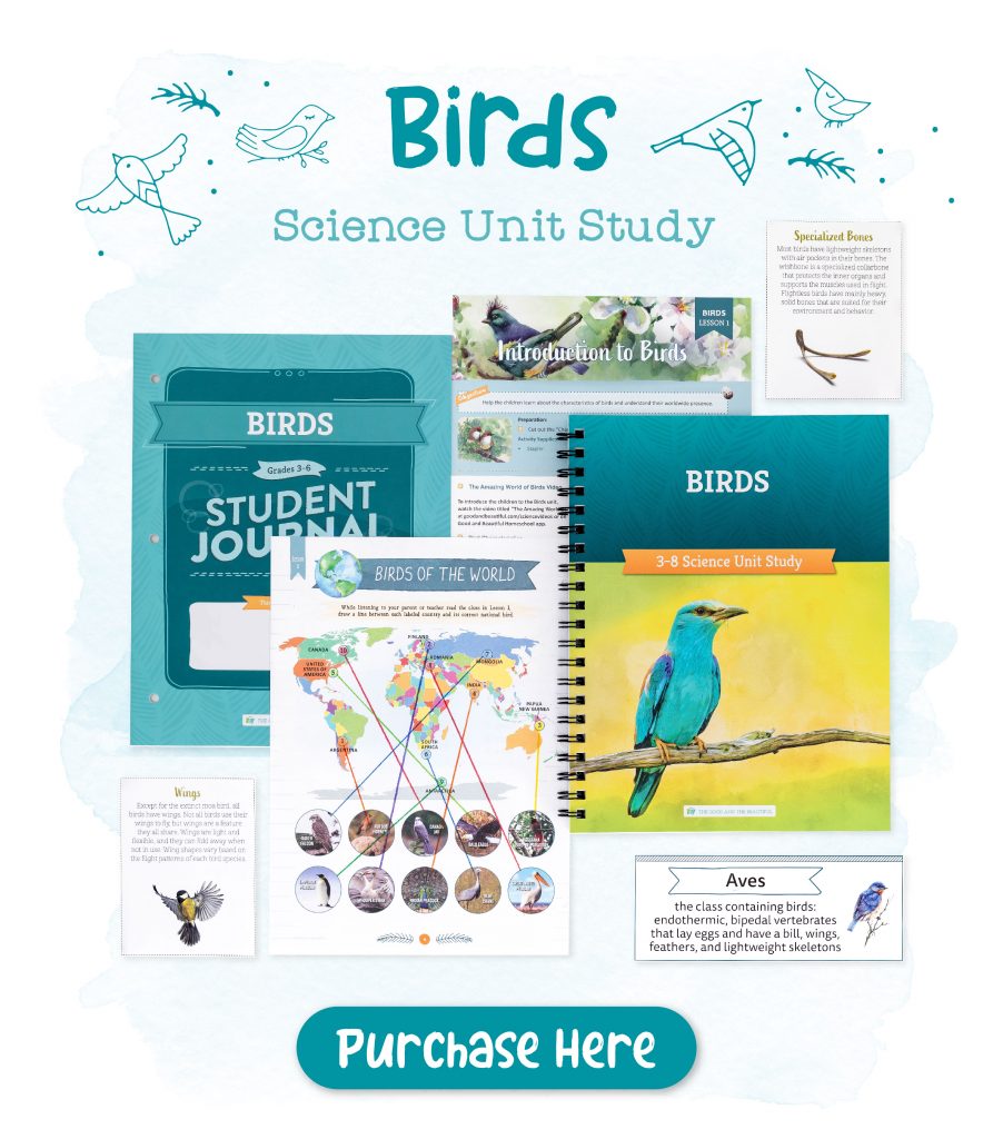Homeschool Birds Science Unit Study for Grades 3 to 8