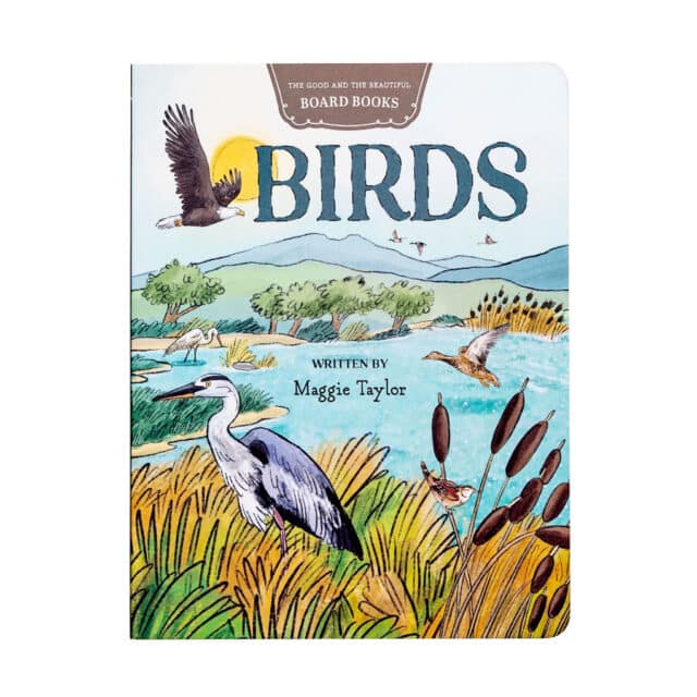 Birds Board Book by Maggie Taylor
