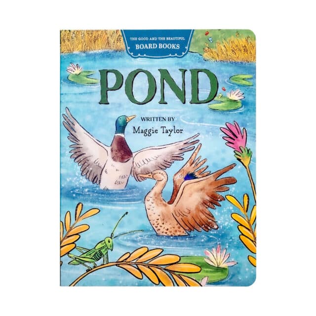 Pond Board Book by Maggie Taylor
