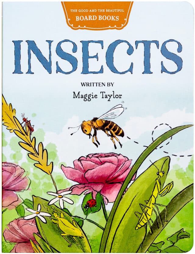 Insects Board Book by Maggie Taylor