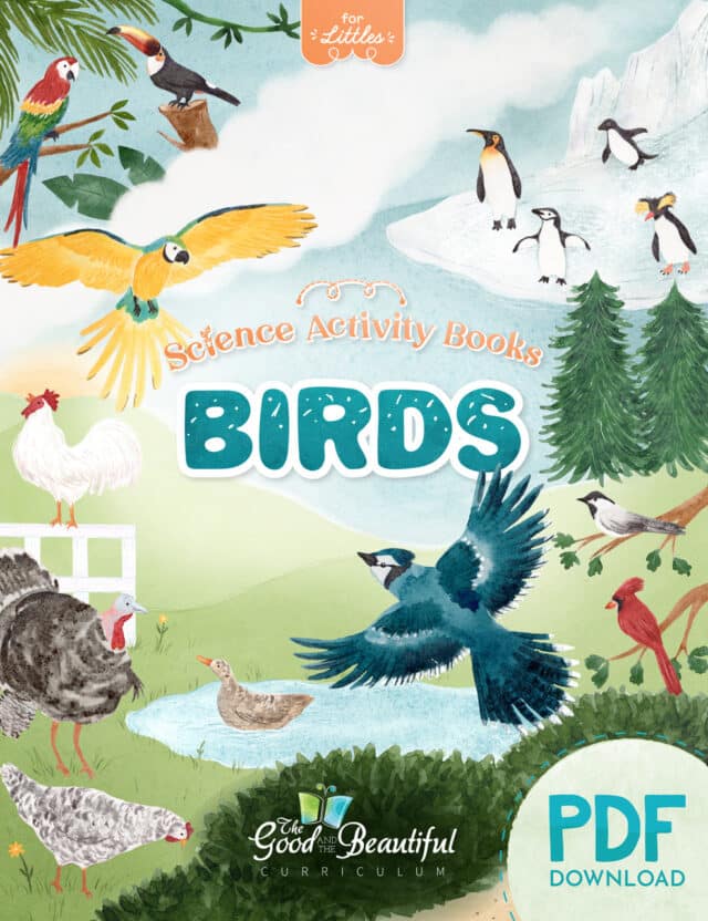 Homeschool Birds Science Activity Book for Preschool to Grade 2 from The Good and the Beautiful