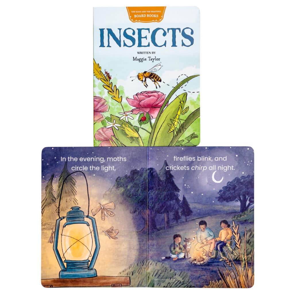 The Good and the Beautiful Insects Board Book by Maggie Taylor