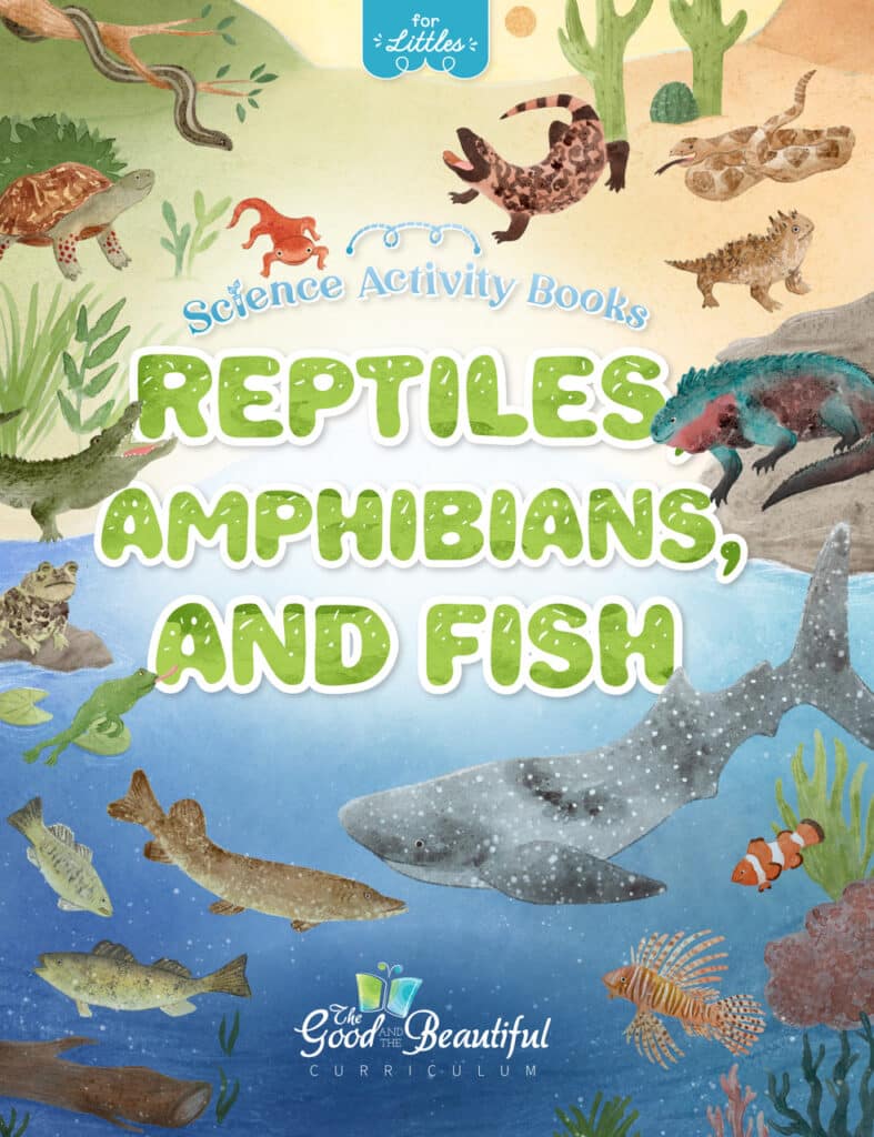 Homeschool Reptiles Amphibians and Fish Science Activity Book for Preschool to Grade 2 from The Good and the Beautiful
