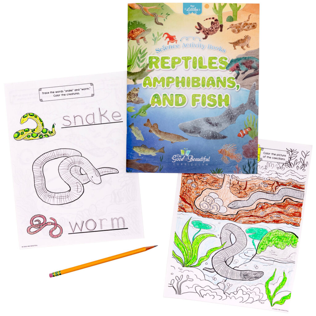 Homeschool Reptiles Amphibians and Fish Science Activity Book for Kindergarten to Grade 2