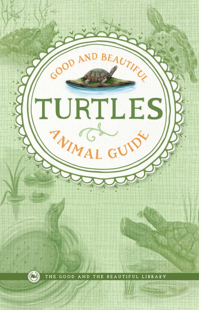 Good and Beautiful Animal Guide Turtles