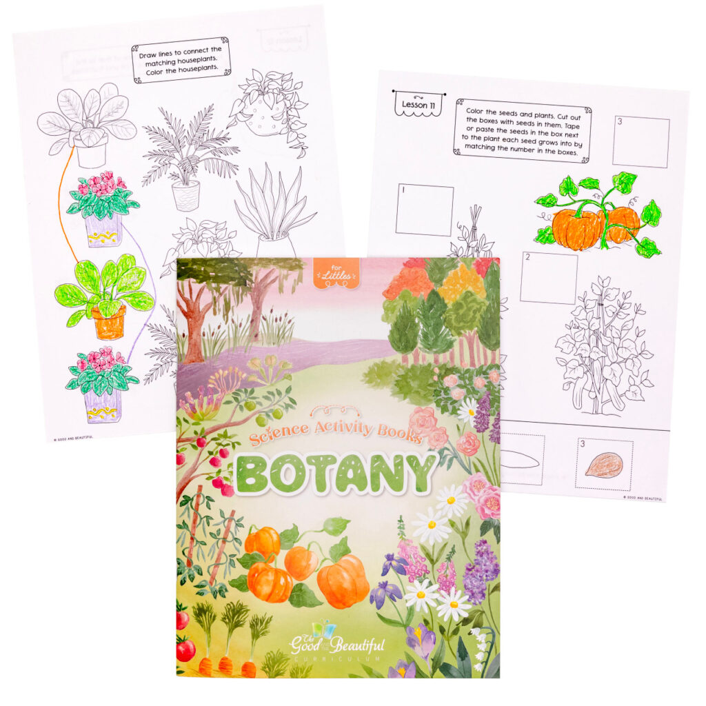 Homeschool Botany Science Activity Book for Kindergarten to Grade 2