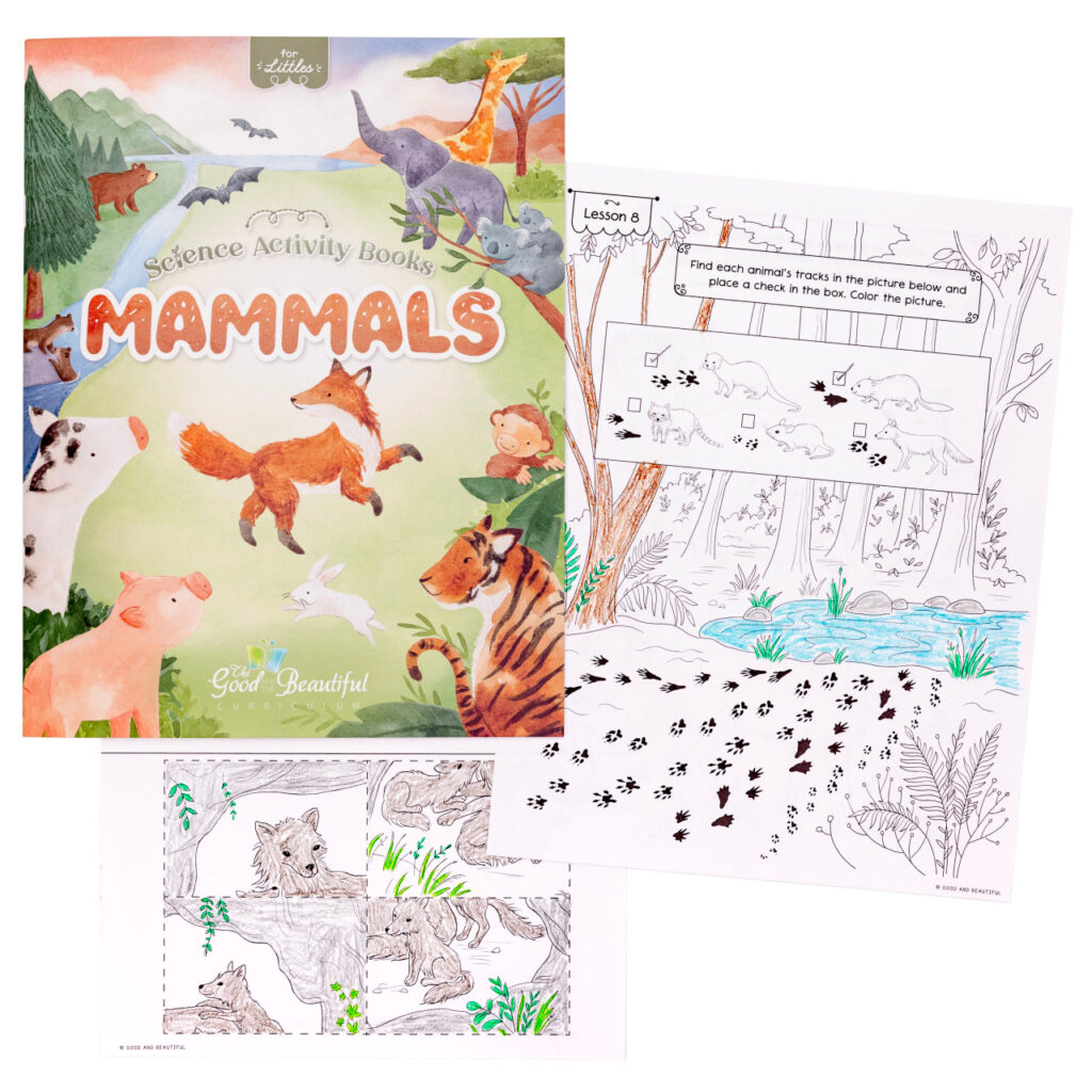 Homeschool Mammals Science Activity Book for Kindergarten to Grade 2