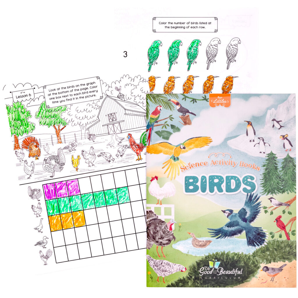 Homeschool Birds Science Activity Book for Kindergarten to Grade 2