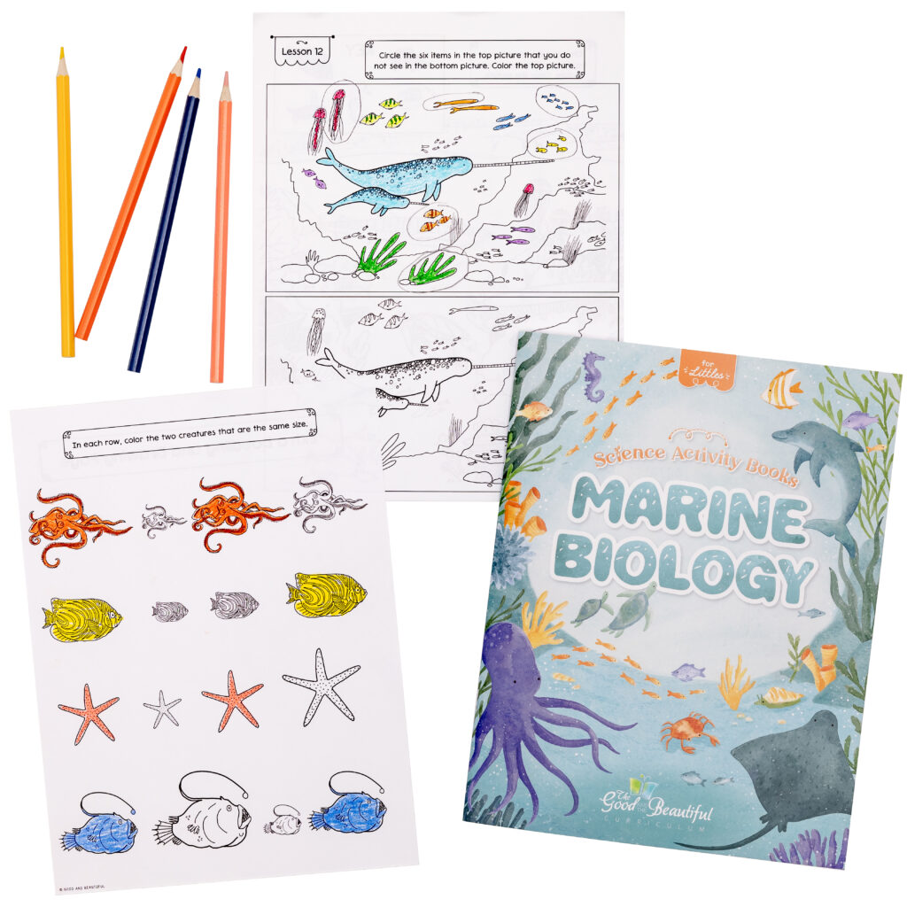 Homeschool Marine Biology Science Activity Book for Kindergarten to Grade 2